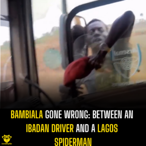 Bambiala Gone Wrong: Between an Ibadan driver and a Lagos spiderman