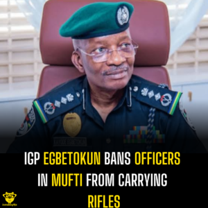 IGP Egbetokun Bans Officers in Mufti from Carrying Rifles