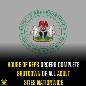 House of Reps orders complete shutdown of all adult sites nationwide