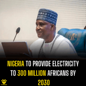 Nigeria to Provide Electricity to 300 Million Africans by 2030