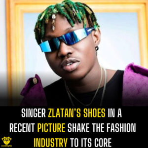 Singer Zlatan’s shoes in a recent picture shake the fashion industry to its core