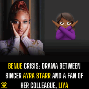 Benue Crisis: Drama between Singer Ayra Starr and a fan of her colleague, Liya