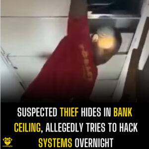 Suspected Thief Hides in Bank Ceiling, Allegedly Tries to Hack Systems Overnight