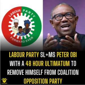 Labour Party sl+ms Peter Obi with a 48 hour ultimatum to remove himself from Coalition opposition party