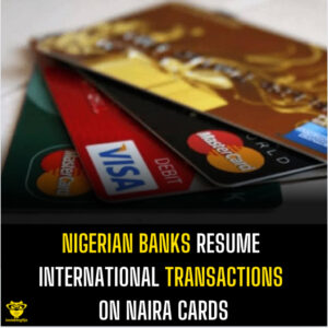 Nigerian Banks Resume International Transactions on Naira Cards