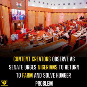 Content creators observe as Senate urges Nigerians to Return to Farm and Solve Hunger Problem