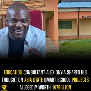 Education consultant Alex Onyia shares his thoughts on Abia state smart school projects allegedly worth N7 Billion