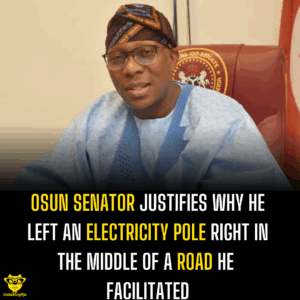 Osun Senator justifies why he left an electricity pole right in the middle of a road he facilitated