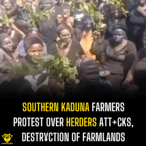 Southern Kaduna Farmers Protest Over Herders Att+cks, Destr¥ction of Farmlands